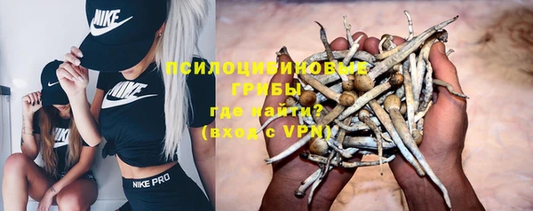 Альфа ПВП Армянск